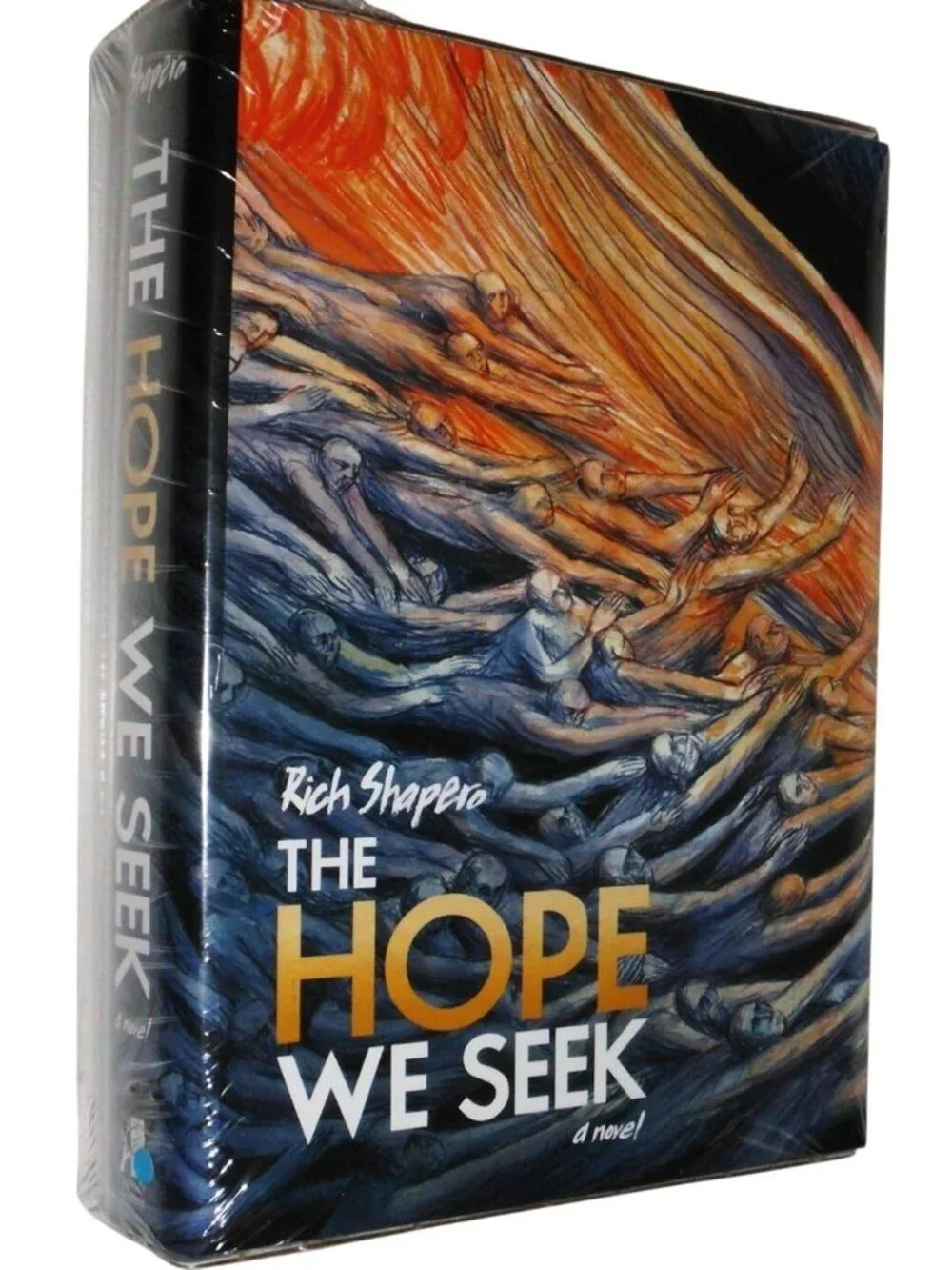 The Hope We Seek Rich Shapero Collector Edition Hardcover Book & Music CD Sealed